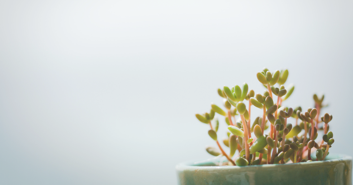 3 Practical Tips to Grow your Advice Firm | Practifi
