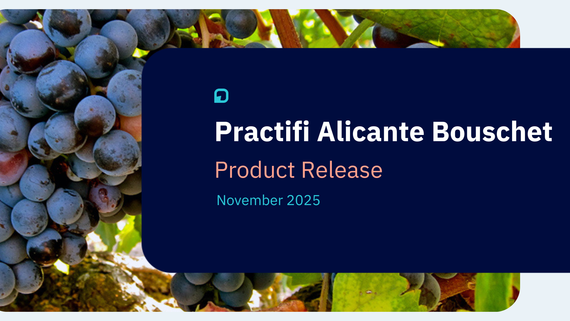 Practifi Alicante Bouschet Tile